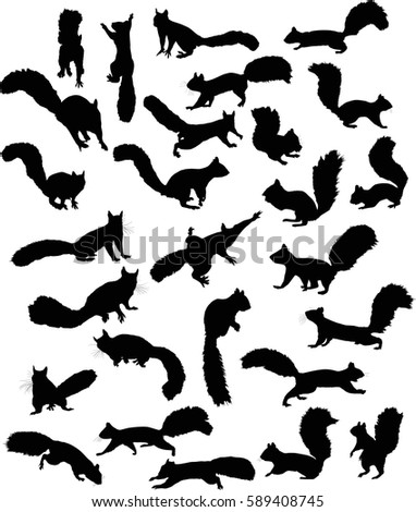 Download Squirrel Silhouette Stock Images, Royalty-Free Images ...