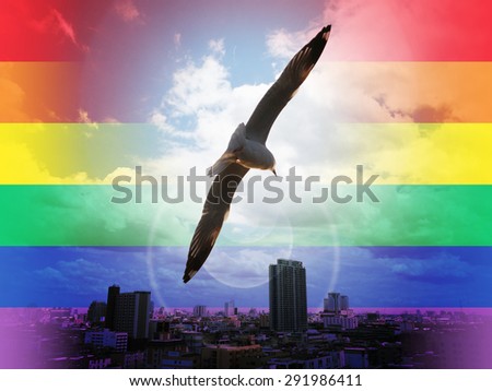 Gay man and woman Gay boy archive vids