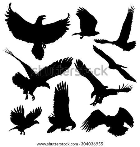 Eagle Silhouettes Stock Images, Royalty-Free Images & Vectors ...