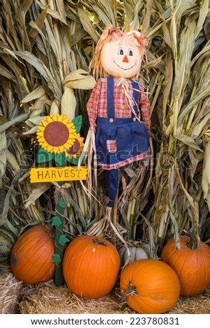 Autumn Farm Decoration Pumpkins On Wagon Stock Photo 1993885 Shutterstock