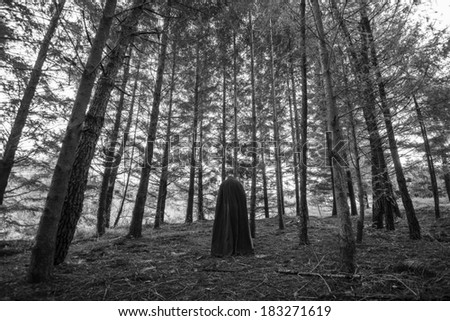 Pagan druid in the forest - stock photo