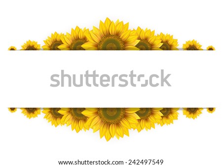 Download Sunflower Background Stock Images, Royalty-Free Images ...