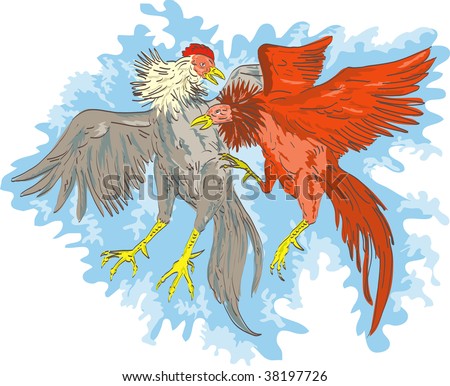 Fight Chicken Stock Photos, Images, & Pictures | Shutterstock