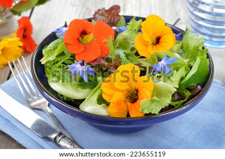 Fresh summer salad with edible flowers nasturtium, borage flowers in a 