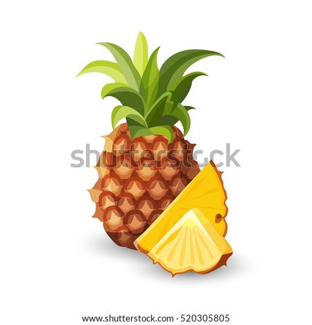 Pineapple isolated on white. Tropical healthy tasty fruit, sweet ananas. Ananas pineapple slices. Healthy food concept. Organic fresh gourmet pineapple. Botanical illustration. Flat style. Vector
