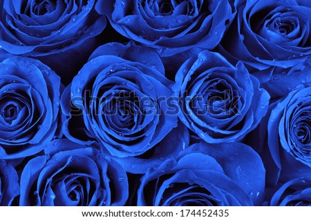 Rosa Bild: Beautiful Blue Rose Flower Wallpaper Free Download