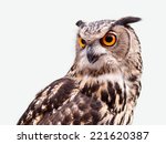 Eagle Owl In Closeup Isolated...