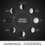 moon phases chart vector... | Shutterstock .eps vector #2153235301