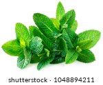 Fresh spearmint leaves isolated on the white background. Mint, peppermint close up