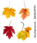 Autumn Leaves Isolated On White ...