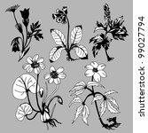 field flowers on gray background | Shutterstock . vector #99027794