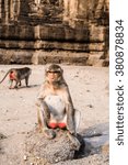 Small photo of close up thai monkey in Triple Crown Castle,Phraphrangsamyod temple,Lopburi,Thailand.young brown monkey sitting on the rock.