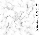 Seamless Marble Vector Texture. ...