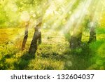 Spring  Nature Background With...