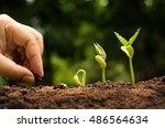 Small photo of Seedling and Plant sprout growing step over green background