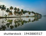 Morning Landscape from Kumarakom backwaters with coconut tree and reflection in water,Kerala
