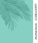 beautiful palm leaf background. ... | Shutterstock .eps vector #1148114597