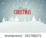abstract christmas and new year ... | Shutterstock . vector #341788271