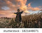Scary Scarecrow In A Hat On A...