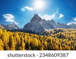 Incredible autumn view at Italian Dolomite Alps. Orange larches forest and foggy mountains peaks on background. Dolomites, Italy. Landscape photography