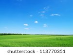 Green Field And Blue Sky