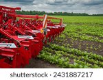 Small photo of A multi-row disc harrow with loosening knives for tractors on the background of a field on a sunny warm day.