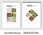 business brochure design... | Shutterstock .eps vector #386934784