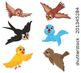 Birds Vector Illustration Set