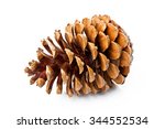 Pine Cone Isolated On White...