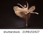 Ballerina. young graceful woman ...