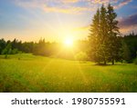 Gorgeous sunrise in Carpathian mountains. Flowers on grassy meadows and forested hill.