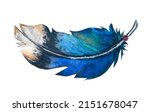 Flying Blue Jay Feather With...