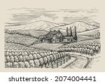 hand drawn vineyard landscape.... | Shutterstock .eps vector #2074004441