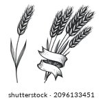 vector illustration hand drawn... | Shutterstock .eps vector #2096133451
