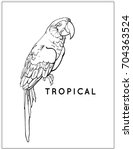 Vector Tropical Exotic Bird ...