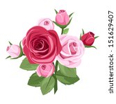 Red And Pink Roses. Vector...