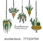 macrame plant hangers in... | Shutterstock .eps vector #777224704