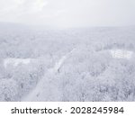 Winter Nature Forest Landscape. ...