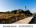Small photo of The Sand Dunes of Station 18 Beach and Sullivan's Island Lighthouse, Sullivan's Island, South Carolina, USA