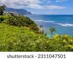 Wildflowers and The Na Pali Cliffs Near Hideaways Beach, Princeville, Kauai, Hawaii, USA