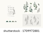 seeded eucalyptus logo and... | Shutterstock .eps vector #1709972881