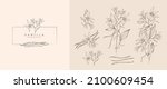 vanilla pods flowers floral... | Shutterstock .eps vector #2100609454