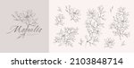 magnolia flower logo and branch ... | Shutterstock .eps vector #2103848714