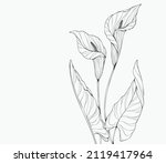 trendy wedding flowers for logo ... | Shutterstock .eps vector #2119417964