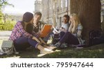 College students having discussion under tree on campus, preparing for exams