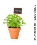 Parsley In A Clay Pot With A...