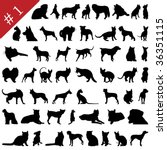 set   1 of different pets... | Shutterstock . vector #36351115