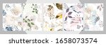 modern abstract floral art... | Shutterstock .eps vector #1658073574