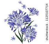  a bouquet of blue flowers on a ... | Shutterstock .eps vector #1125107714