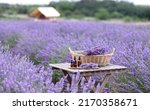 amber essential lavender oil... | Shutterstock . vector #2170358671